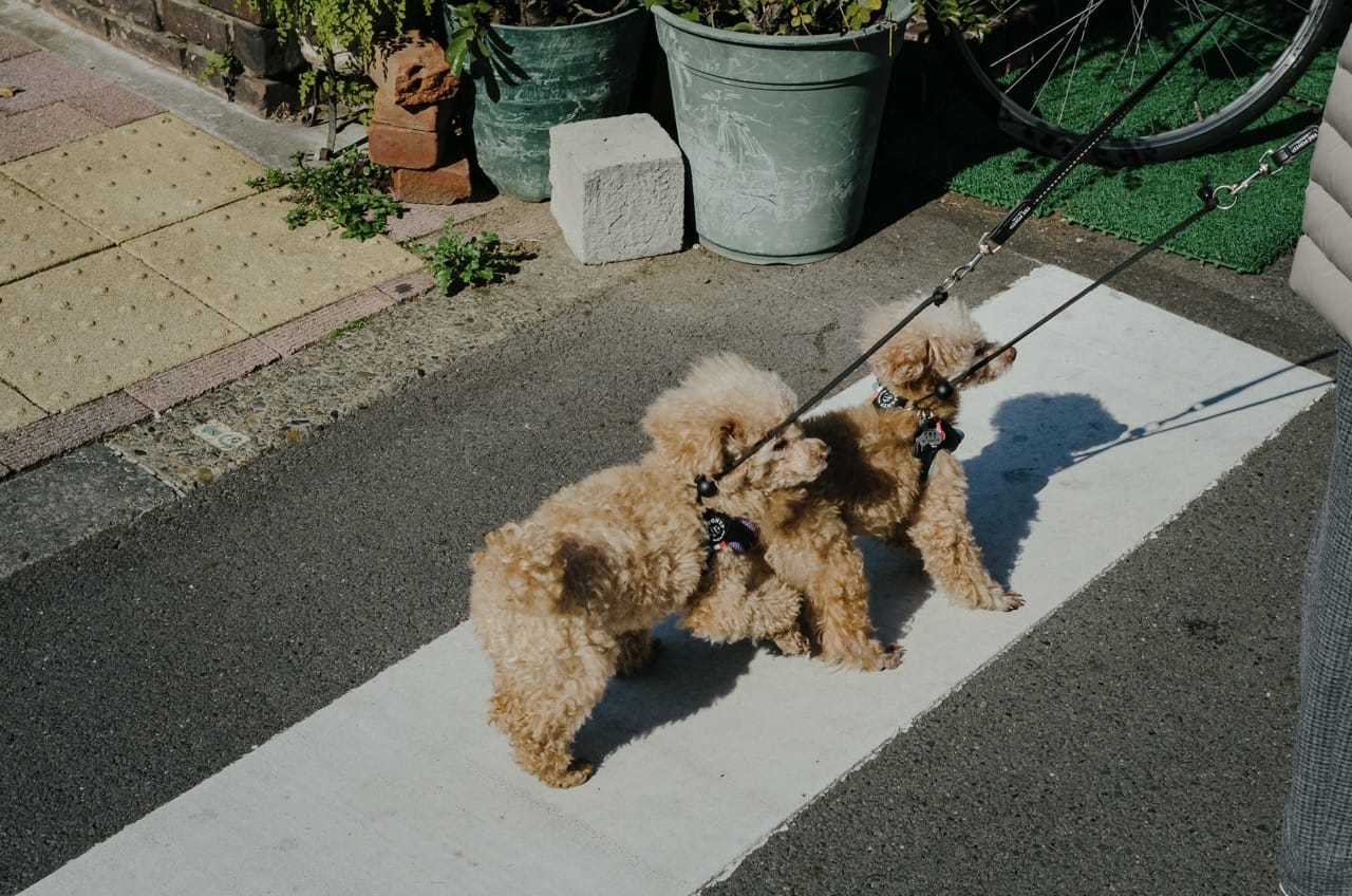 Превью Tokyo 2024